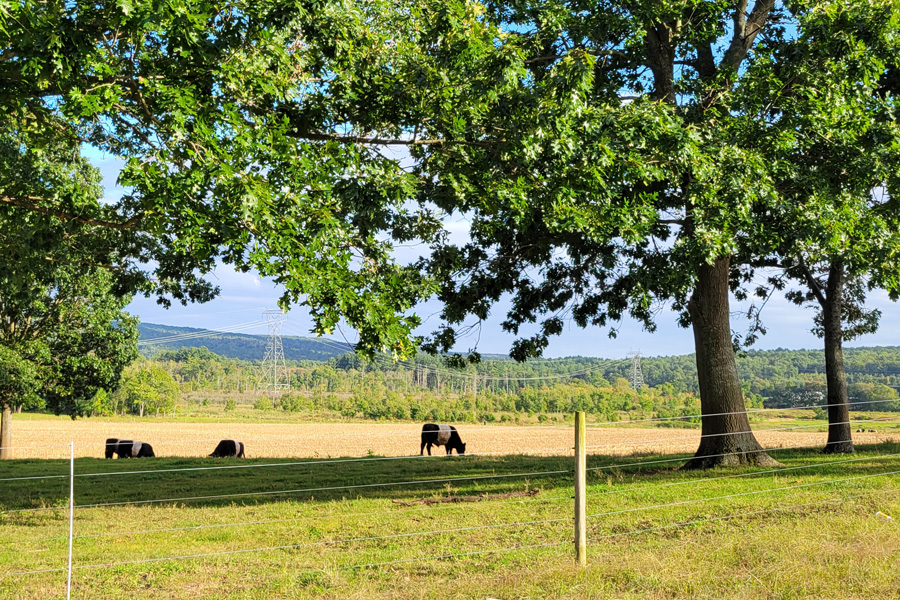 farmland and livestock