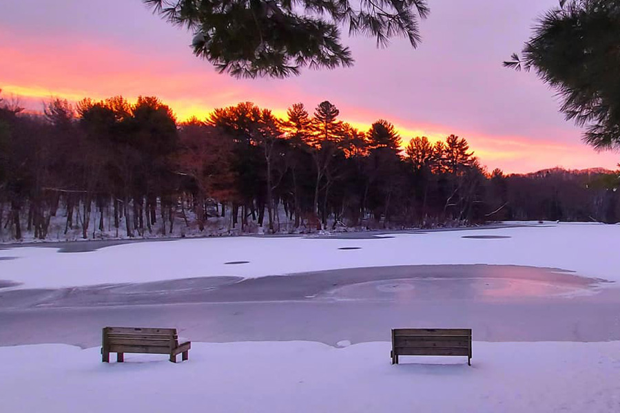 lake benches