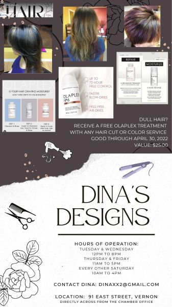 Dina's Designs